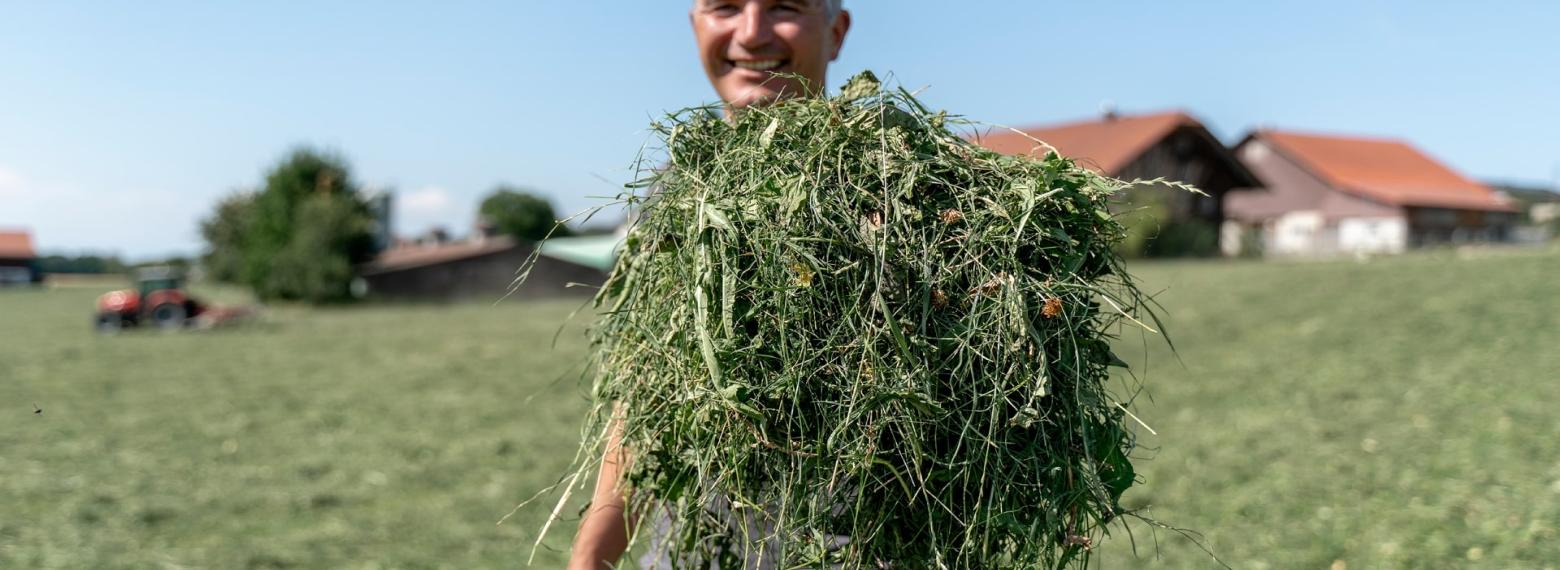 Fribourg – Quand les papilles des ruminants dictent le séchage du foin